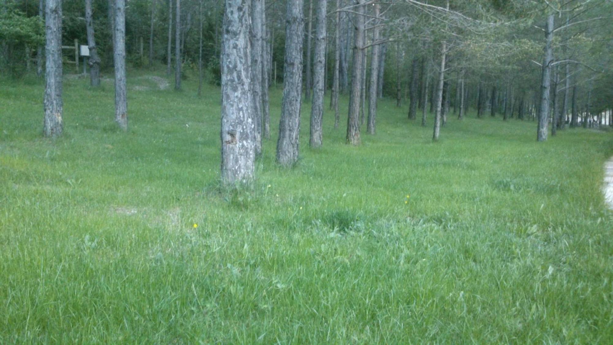 Camping L'Espelt La Pobla de Lillet Εξωτερικό φωτογραφία